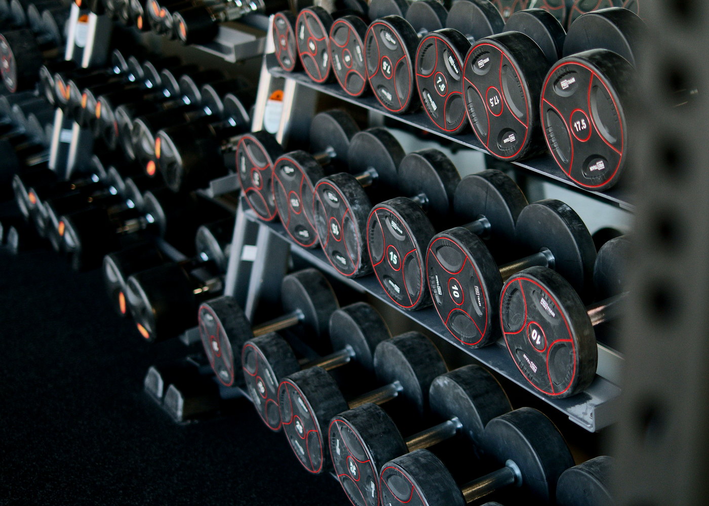 Rows of black dumbbells with red rims on a gym rack.