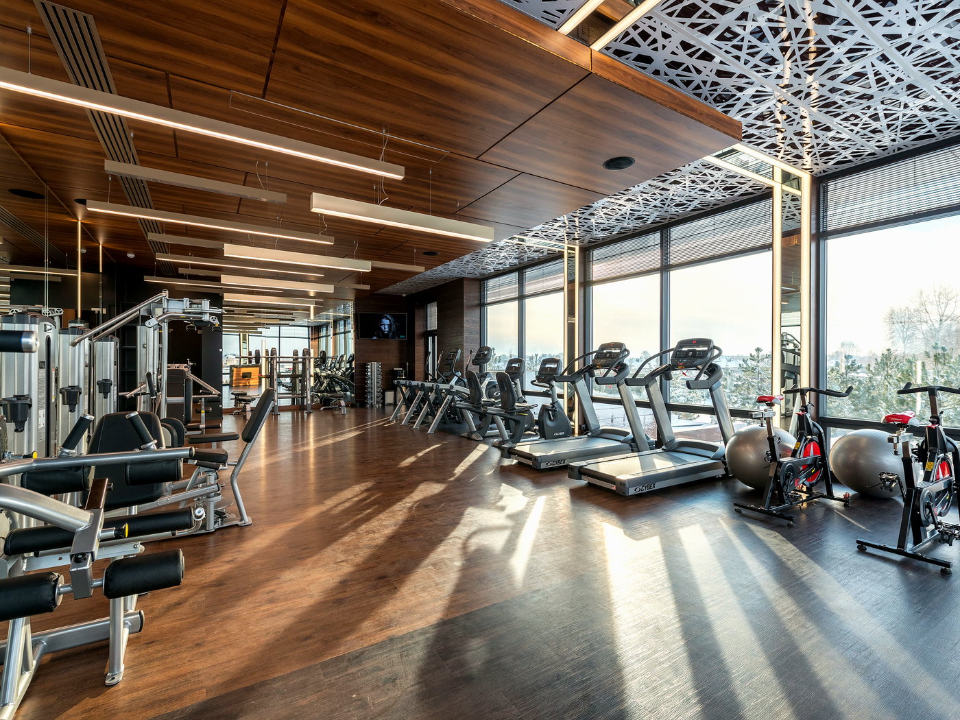 Gym floor with resistance machines on the left, treadmills and exercise bikes by the windows, and large exercise balls.